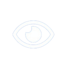 Visión